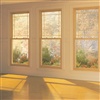 Double Hung Windows